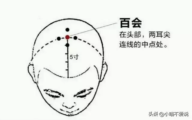 氣虛、陽虛、痰濕、濕熱型肥胖,4種胖人,有何症狀?如何改善?
