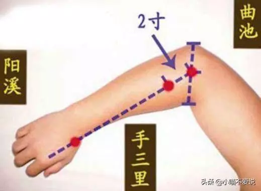 氣虛、陽虛、痰濕、濕熱型肥胖,4種胖人,有何症狀?如何改善?