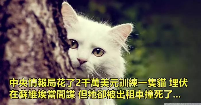 15個會讓你覺得你對這個世界還不夠了解的冷知識