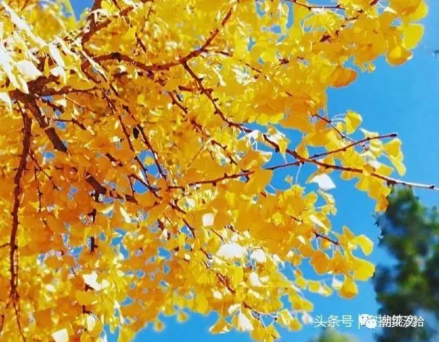 誰也不用瞧不起誰,我的處境換你,你未必承受得起!