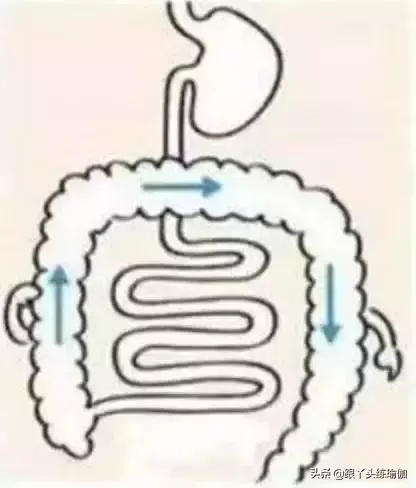 每天按摩腹部都有哪些好處?教你正確的按摩方法
