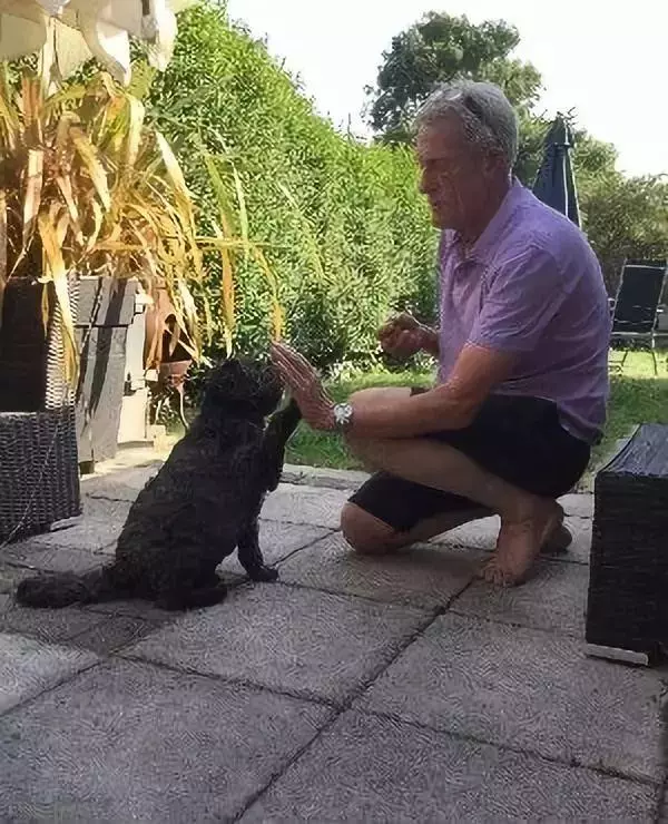 癌症搶救昏迷3天,愛犬把他喚回人間:你救我一命,我賜你重生