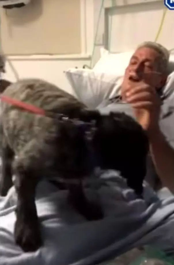 癌症搶救昏迷3天,愛犬把他喚回人間:你救我一命,我賜你重生