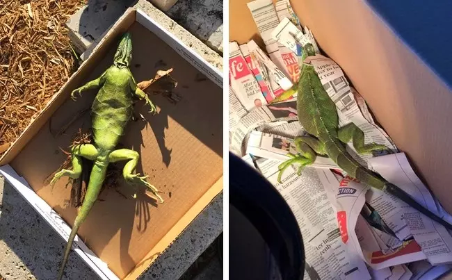 13張照片證明「人類才是世界上最可怕的動物」 巴西熱帶雨林出現「心痛直角」