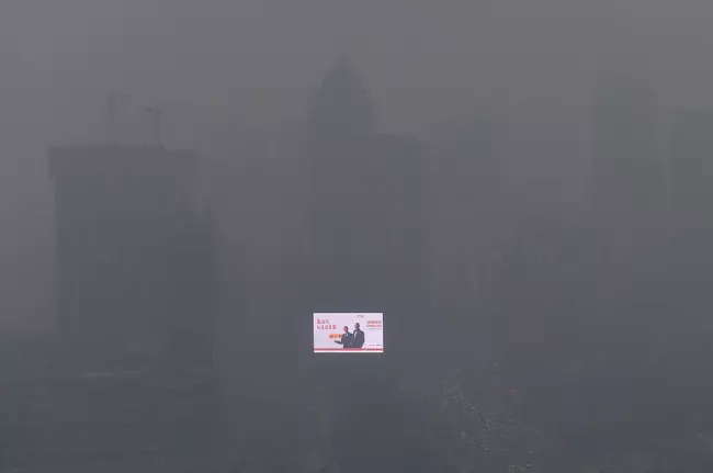 13張照片證明「人類才是世界上最可怕的動物」 巴西熱帶雨林出現「心痛直角」