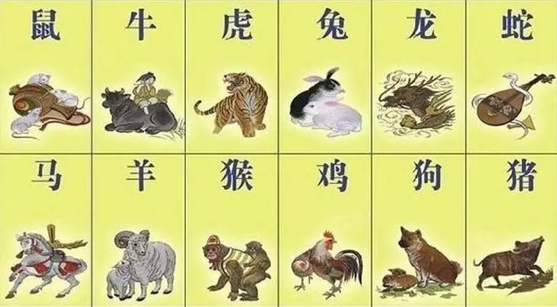 12生肖一生貧富排行,看看你能賺多少?