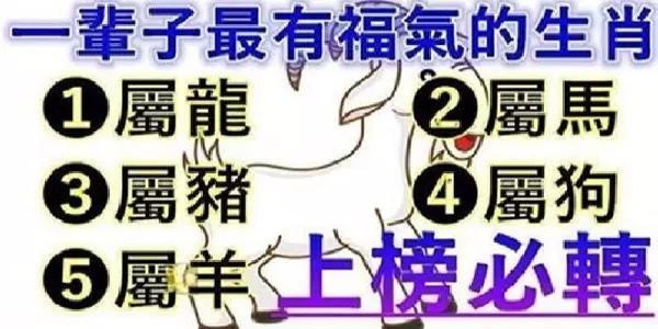 一輩子「最有福氣」的五大生肖,看看你是不是也上榜了!