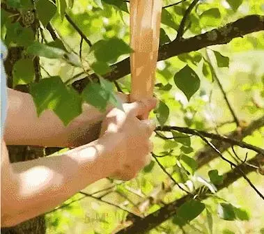 舊襪子不要扔,只要剪一剪,直接變廢為寶!家庭主婦必備!