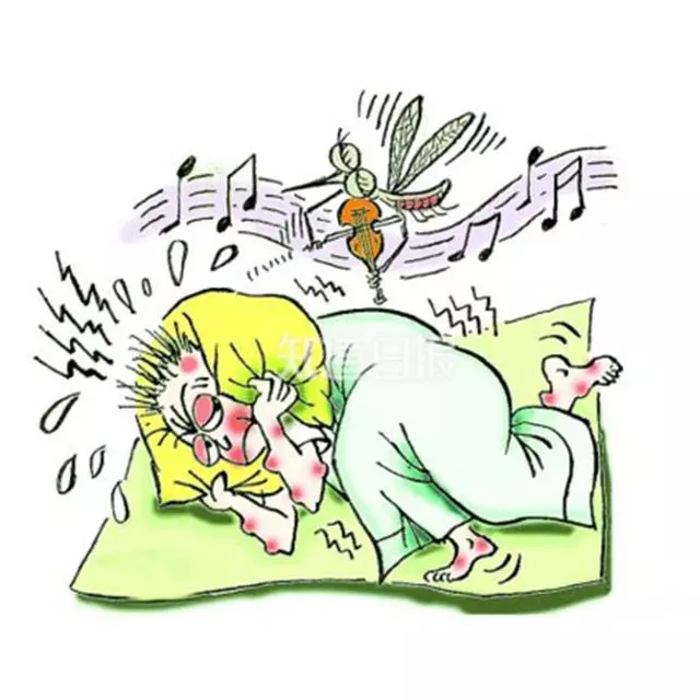 蚊子咬了腫一包奇癢難忍?越抓越癢!教你止癢方法,60秒後止癢去痕!