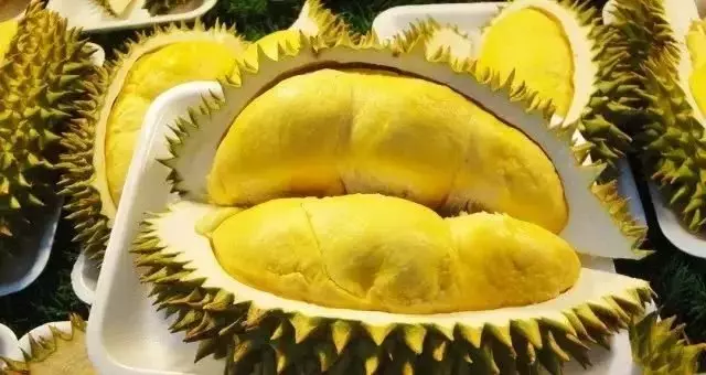新加坡,原來靠這個賺了全世界的錢!