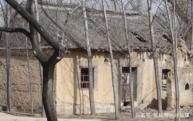 兒子賭氣外出十年,發財後帶五十萬回家,進門後看到一個人呆了