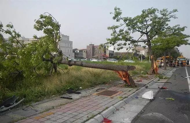 又是酒駕!21歲BMW男酒駕載友,女機車騎士狠撞拖行「屍首分離」亡!