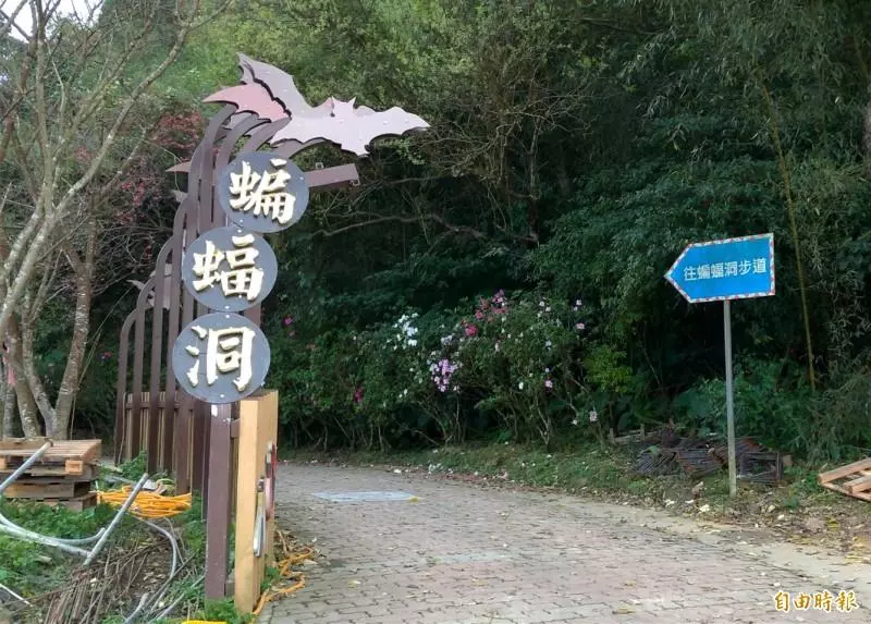 天然岩洞瀑布超美秘境!復興蝙蝠洞改善工程後強勢回歸