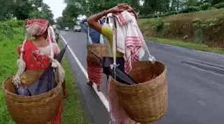 因為一杯奶茶,數千印度女人失去了孩子?!
