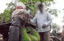 因為一杯奶茶,數千印度女人失去了孩子?!