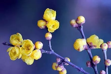 這6天出生的人,天生逢貴人,一生不缺錢!
