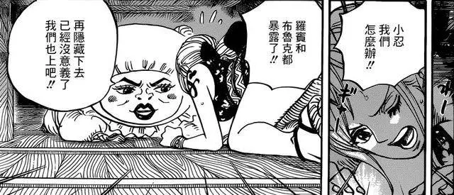 《海賊王》最新劇情來襲!大媽失憶,小紫身亡大戰一觸即發