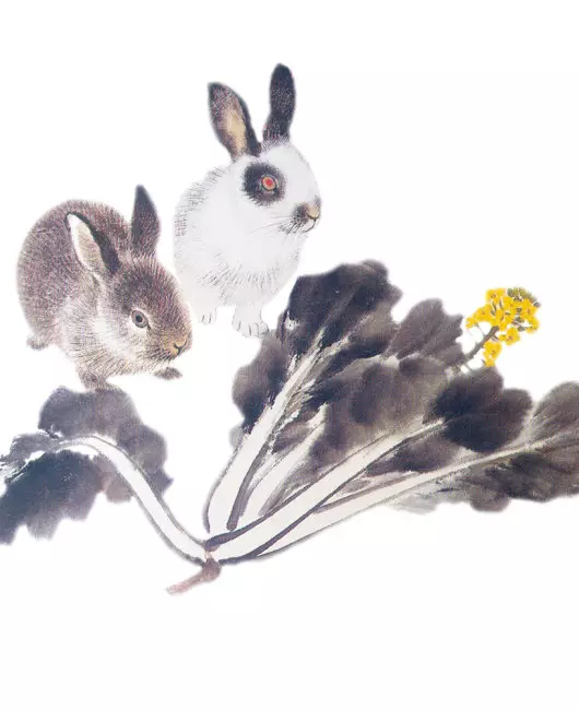 2019年開始,這5大生肖財運大翻身!(榜上有名者最靈)