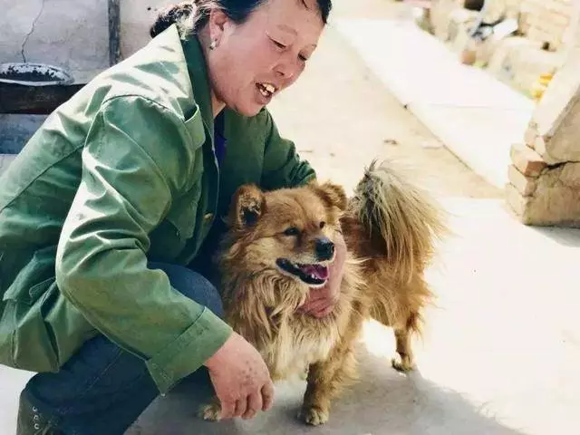 想要獲得高品質萌寵?學會責任養寵後,三招就能免費帶寵物回家!