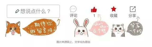 想要獲得高品質萌寵?學會責任養寵後,三招就能免費帶寵物回家!