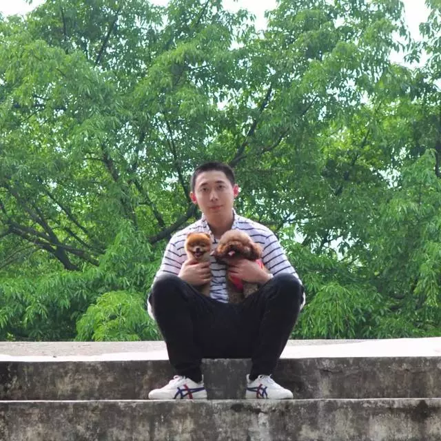 小狗吃多了怎麼辦?五大招!