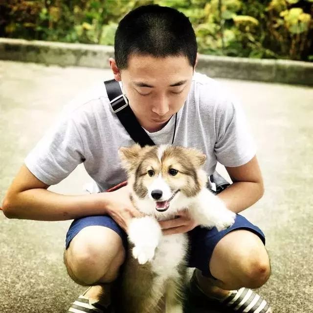 小狗吃多了怎麼辦?五大招!