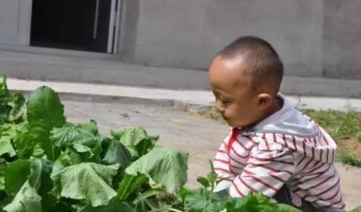 姐姐嫁人,10歲的弟弟攔著婚車不讓進,他打開褲兜,眾人紛紛淚目