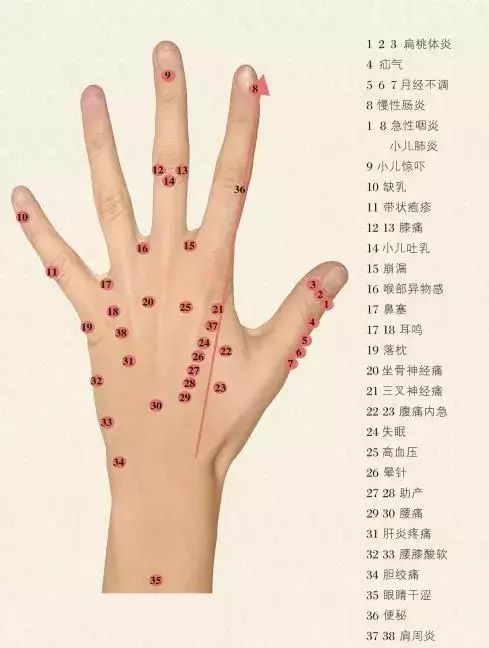 超實用的十種常見病手穴療法詳解—讓您手到病除