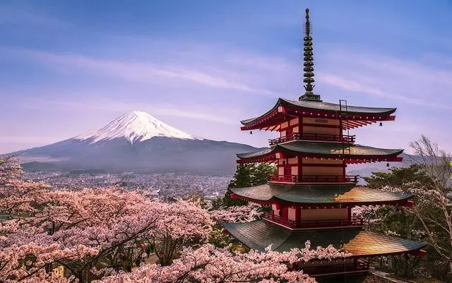 日本櫻花季|睡過京都四季,日本才算沒白來!