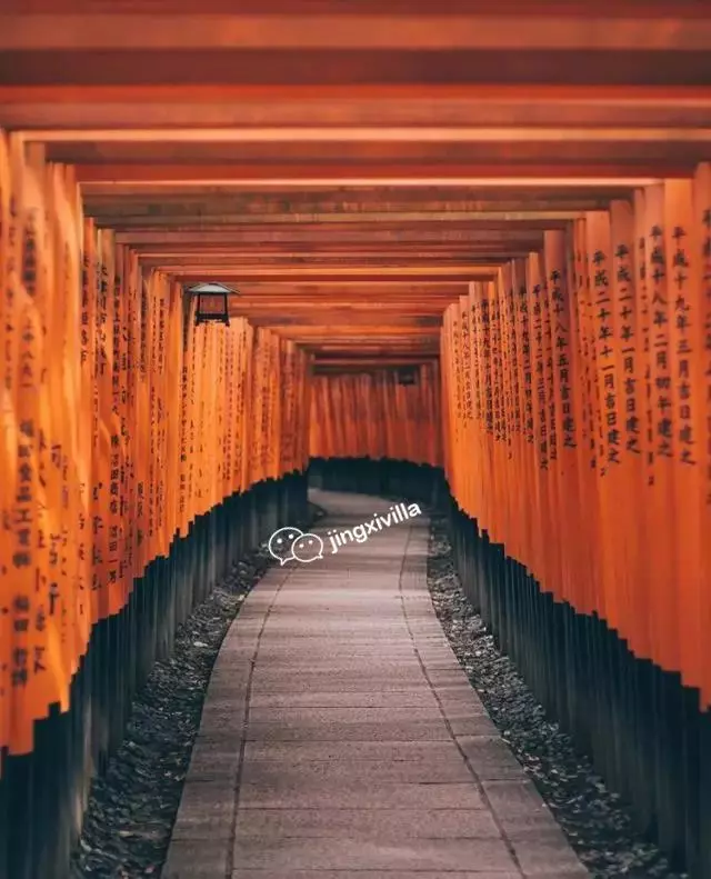 日本櫻花季|睡過京都四季,日本才算沒白來!