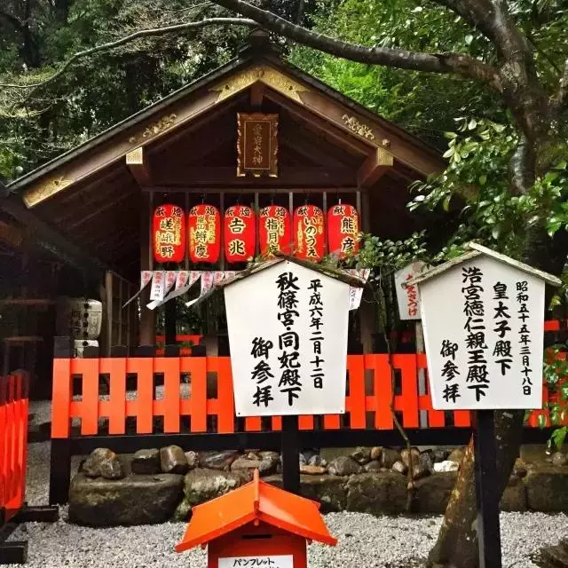 日本櫻花季|睡過京都四季,日本才算沒白來!