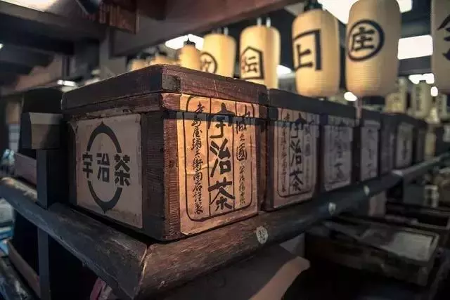 日本櫻花季|睡過京都四季,日本才算沒白來!