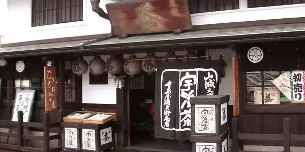 日本櫻花季|睡過京都四季,日本才算沒白來!