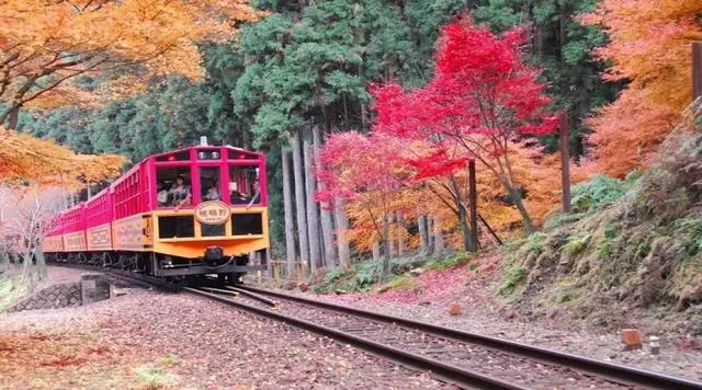 日本櫻花季|睡過京都四季,日本才算沒白來!