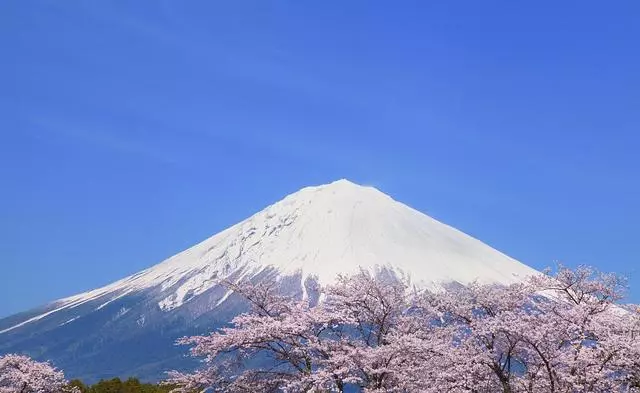日本櫻花季|睡過京都四季,日本才算沒白來!