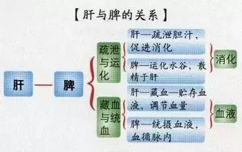 百病從肝治,送您1套養肝最全的方法