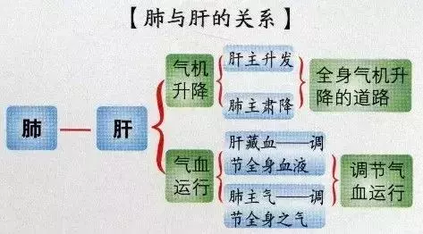 百病從肝治,送您1套養肝最全的方法