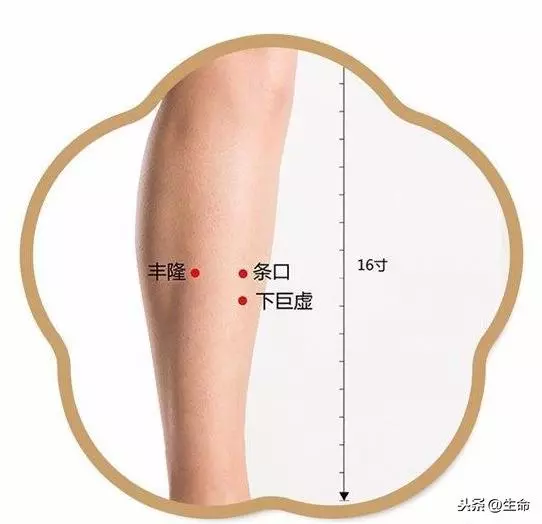中醫穴位治療高血脂症!