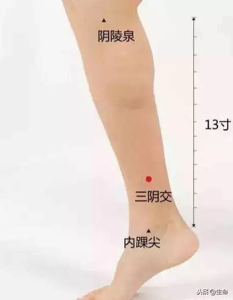 中醫穴位治療高血脂症!