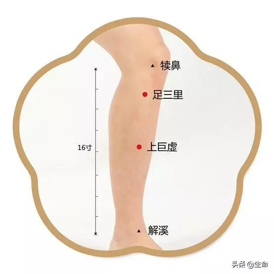 中醫穴位治療高血脂症!