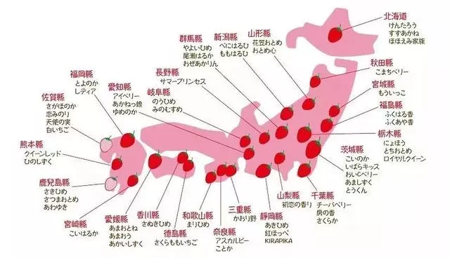 日本最具人氣的草莓,最貴一顆能賣3000元(收藏帖)