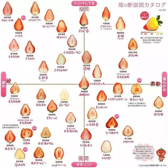 日本最具人氣的草莓,最貴一顆能賣3000元(收藏帖)