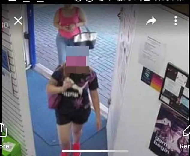 2婦偷竊情用品, 店家貼FB追討震動器!