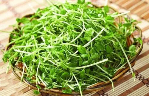女人想要老的慢,皮膚光澤又白皙,不如多吃這道菜,好吃又實惠