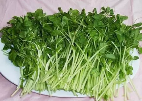 女人想要老的慢,皮膚光澤又白皙,不如多吃這道菜,好吃又實惠