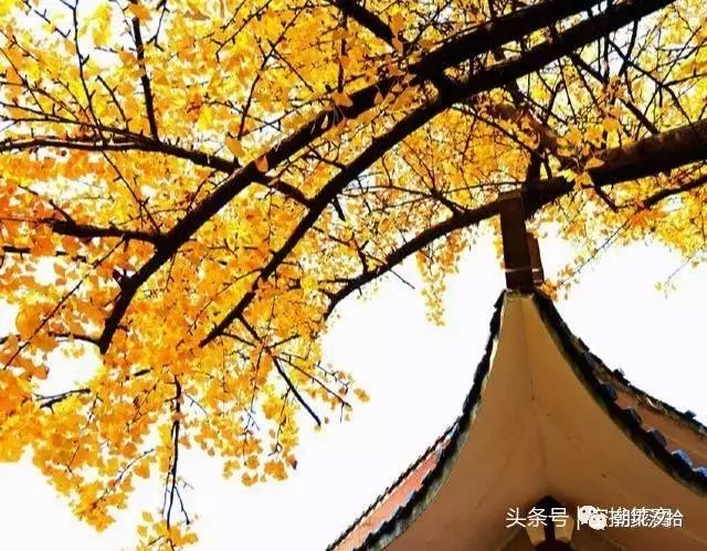 誰也不用瞧不起誰,我的處境換你,你未必承受得起!