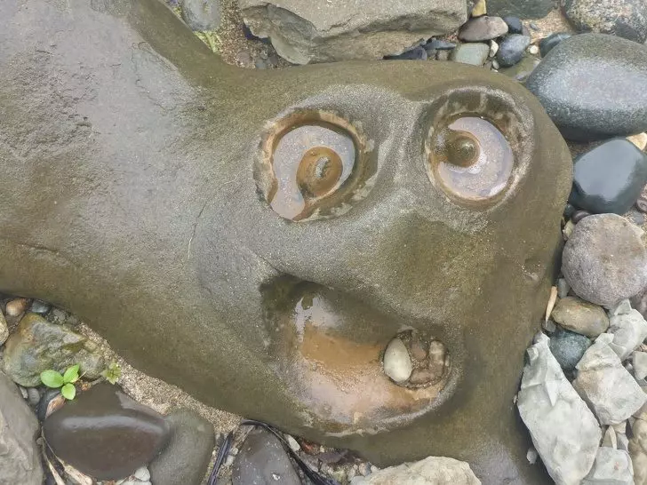 18張證明「萬物都有靈魂」的爆笑顯靈照 蕃茄醬版「西索」超母湯!