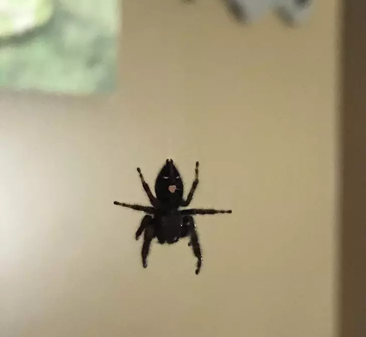 18張證明「萬物都有靈魂」的爆笑顯靈照 蕃茄醬版「西索」超母湯!