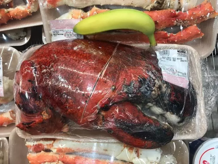 17個讓你感嘆「自己懂的還是太少了」生活驚奇 懷孕狗媽的X光照...絕對逼瘋密集恐懼症的人!