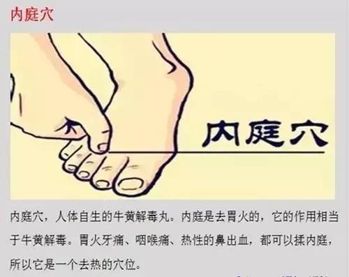 「火」在肺裏,咳嗽;「火」在肝裏,失眠;「火」在胃裡,口臭!